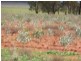 Goolgowi NSW 2652