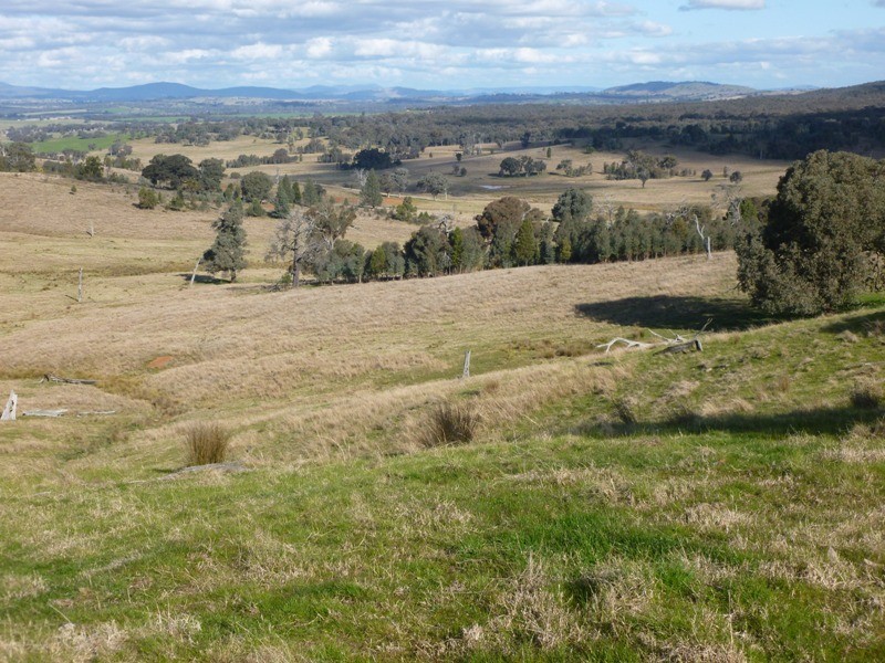 Taras Hill, Fellows Hill Road, Holbrook NSW 2644