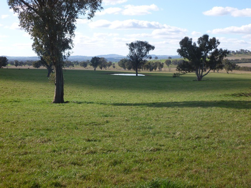 Taras Hill, Fellows Hill Road, Holbrook NSW 2644