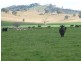 Taras Hill, Fellows Hill Road, Holbrook NSW 2644