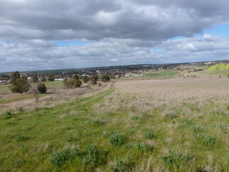 239 Scott Street, Harden NSW 2587