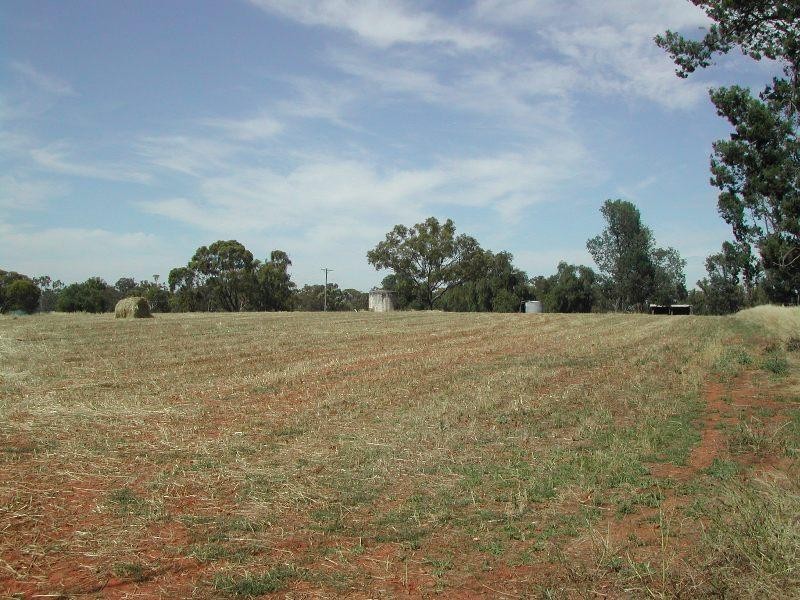 Lot 4 Kindra Street, Rand NSW 2642