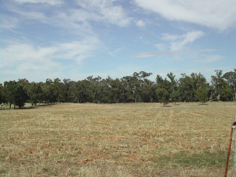 Lot 4 Kindra Street, Rand NSW 2642