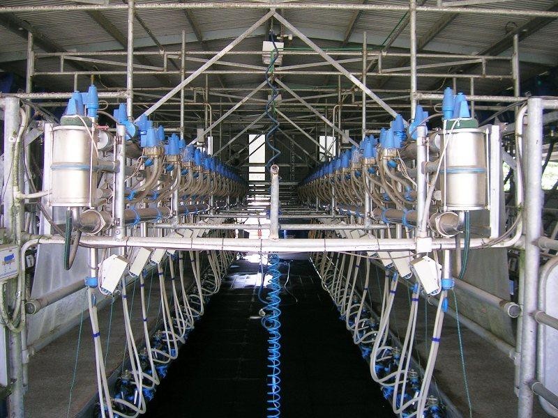 1923 Omeo Highway, Tallandoon VIC 3700