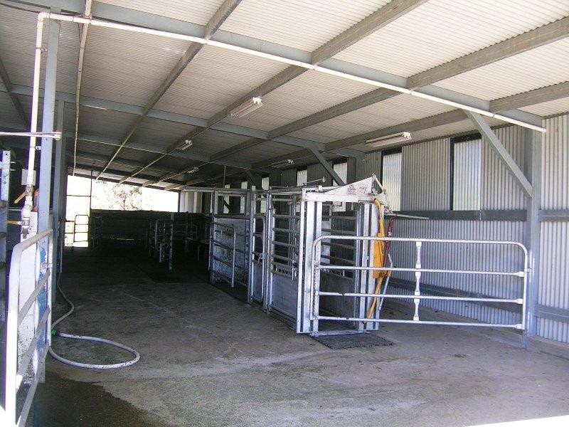 1923 Omeo Highway, Tallandoon VIC 3700