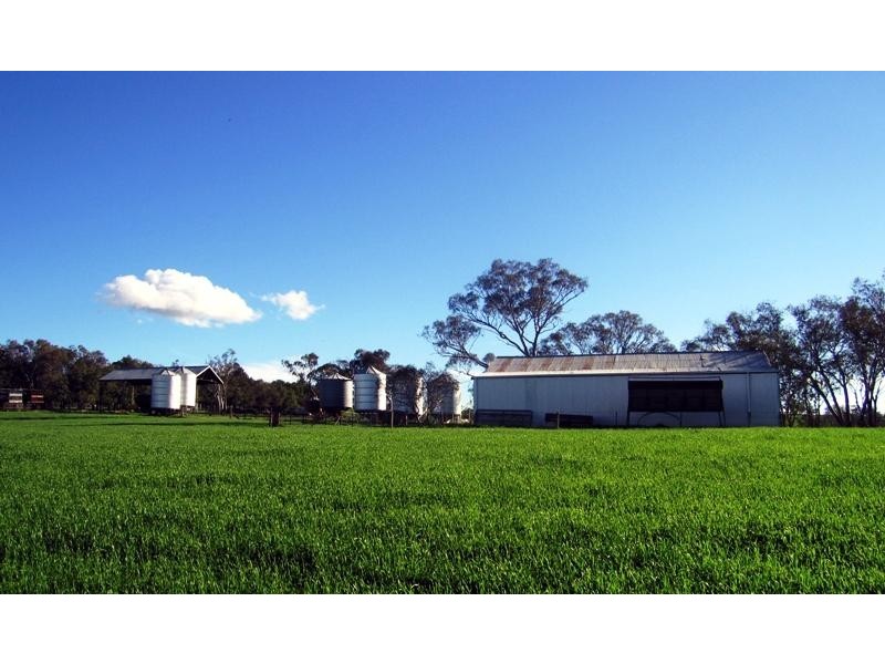 118 Mullemblah Road, Walbundrie NSW 2642