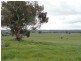 “Spring Lawn” Gayfer Road, Chiltern VIC 3683