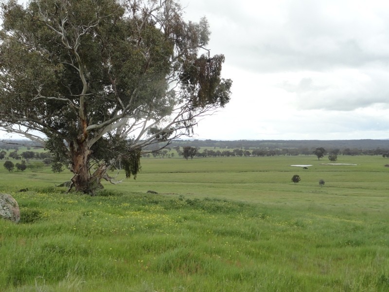 “Spring Lawn” Gayfer Road, Chiltern VIC 3683