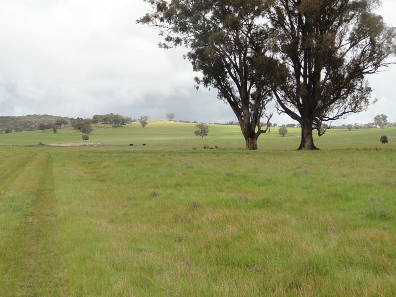 “Spring Lawn” Gayfer Road, Chiltern VIC 3683