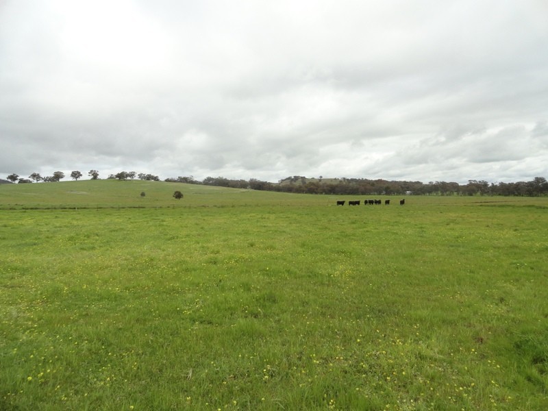 “Spring Lawn” Gayfer Road, Chiltern VIC 3683