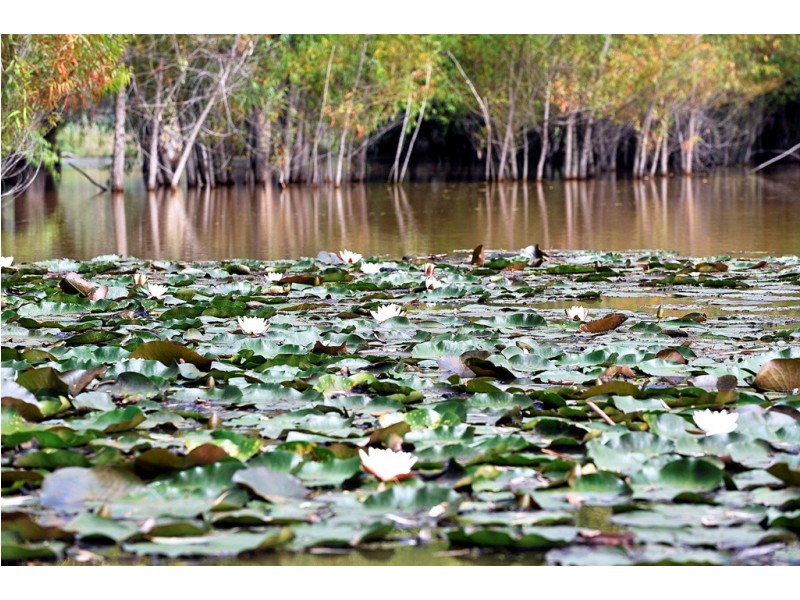 2527 The Snow Road, Markwood VIC 3678