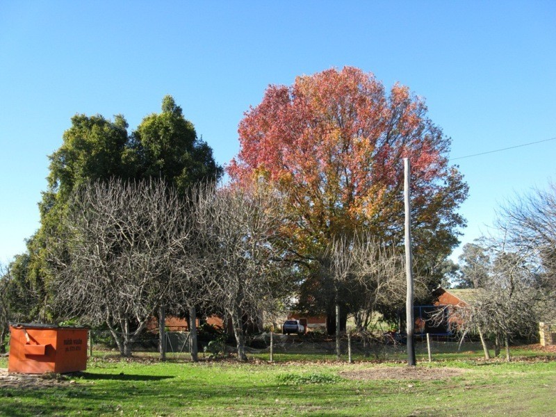 2527 The Snow Road, Markwood VIC 3678