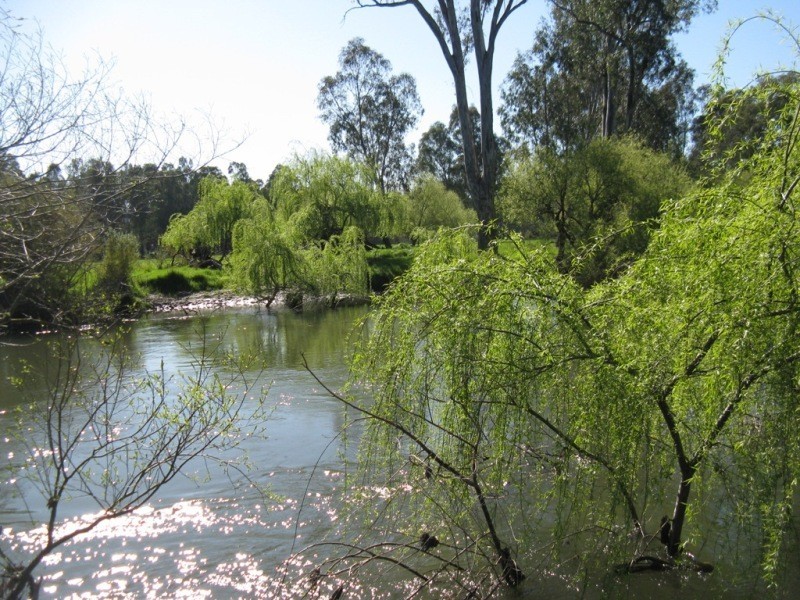 2527 The Snow Road, Markwood VIC 3678