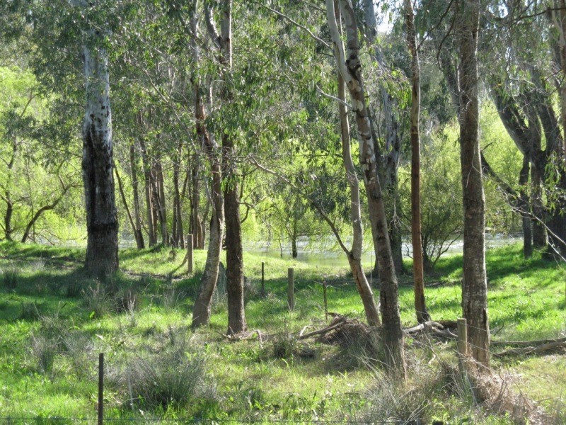 2527 The Snow Road, Markwood VIC 3678