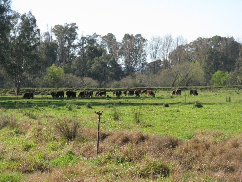 2527 The Snow Road, Markwood VIC 3678