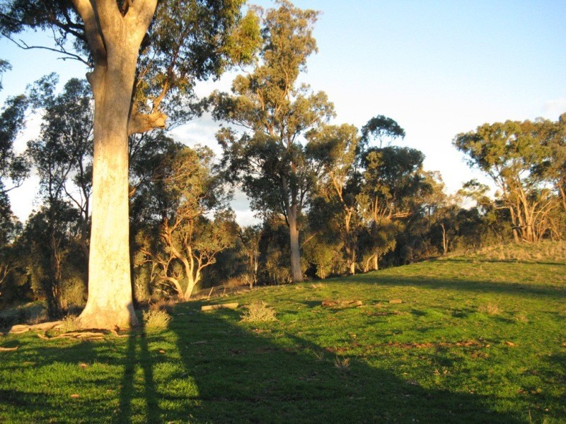 2527 The Snow Road, Markwood VIC 3678