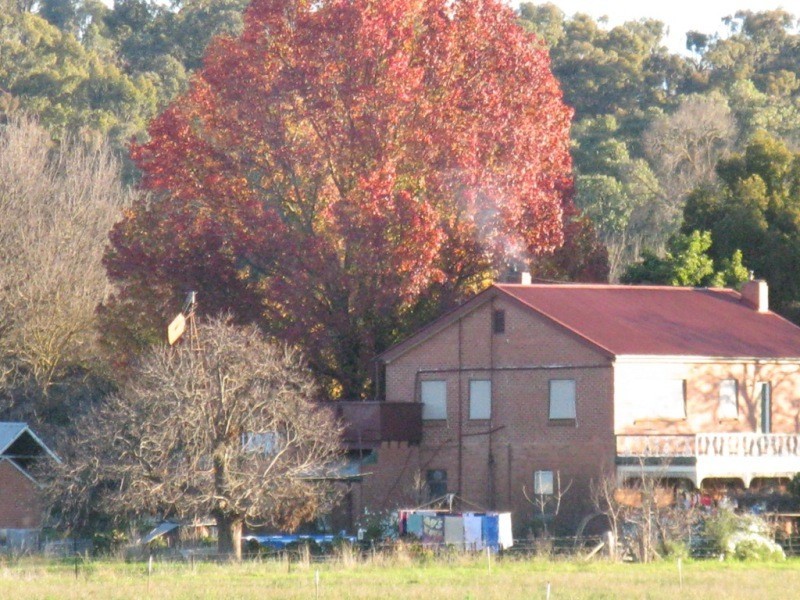 2527 The Snow Road, Markwood VIC 3678