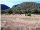 Lot 4 Dora Dora Estate, River Road, Talmalmo NSW 2640