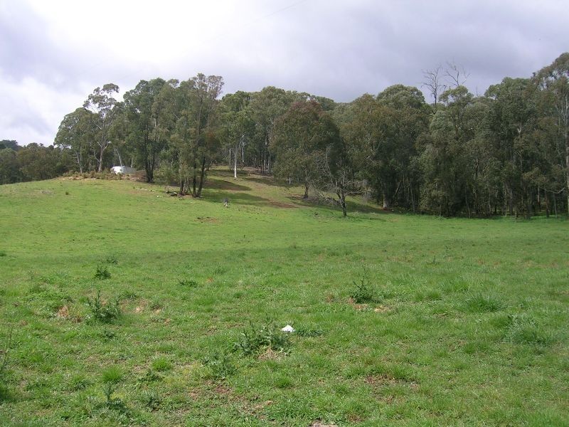 3512 Tallangatta Creek Road, Tallangatta Valley VIC 3701