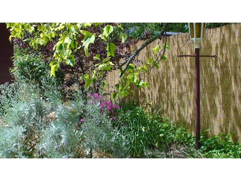 6 Wood Street, Bright VIC 3741