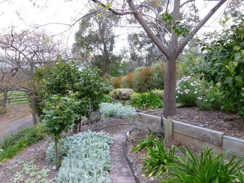 The Cedars 422 Simpson Road, Kergunyah VIC 3691