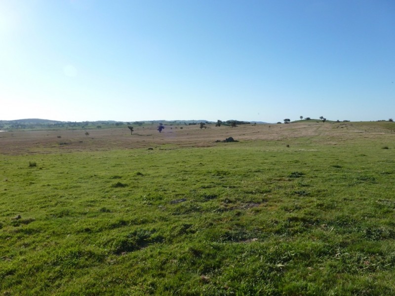 2220 Wargeilla Road, Yass NSW 2582