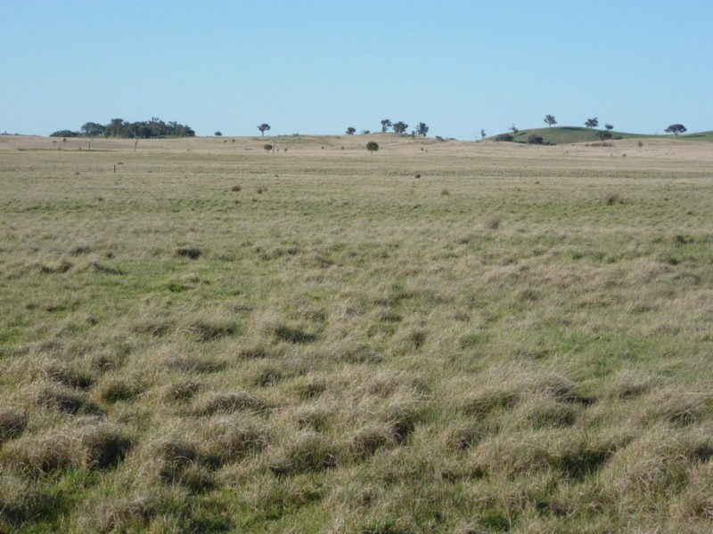 2220 Wargeilla Road, Yass NSW 2582