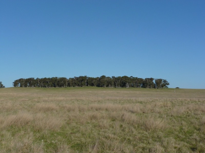 2220 Wargeilla Road, Yass NSW 2582