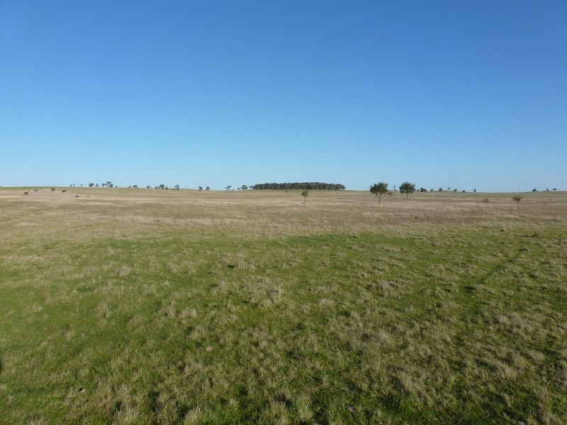 2220 Wargeilla Road, Yass NSW 2582