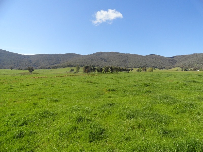 Lot 1 PS 608710 Boyes Road, Leneva VIC 3691