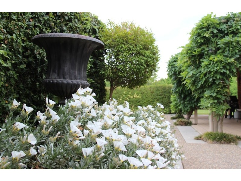 19 Nyhan Street, “The Lodge”, Holbrook NSW 2644