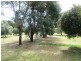 75 Honniball Drive, Tocumwal NSW 2714
