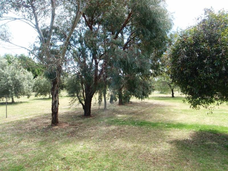 75 Honniball Drive, Tocumwal NSW 2714