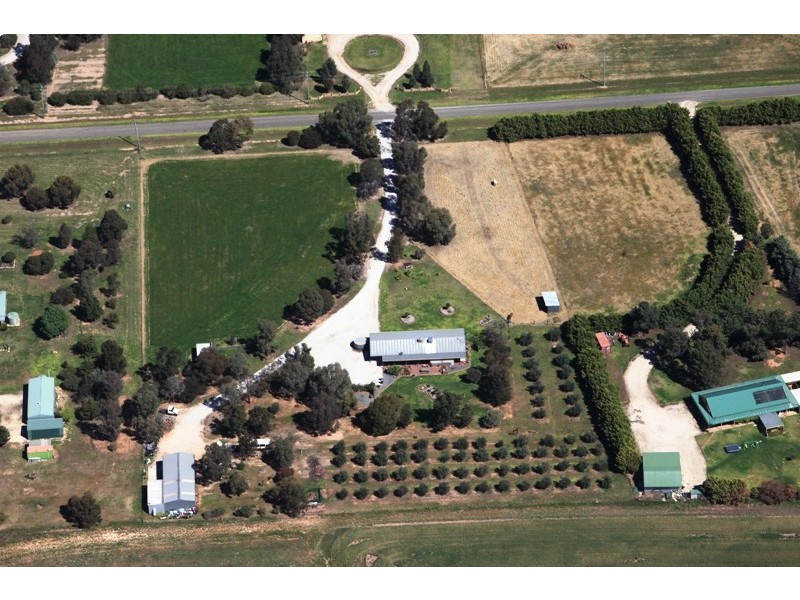 75 Honniball Drive, Tocumwal NSW 2714