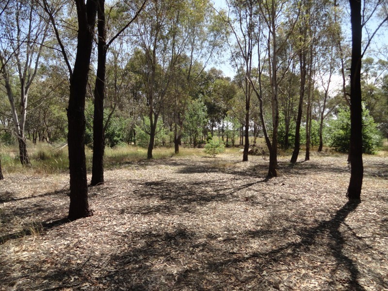 36-38 Nickless Street, Chiltern VIC 3683
