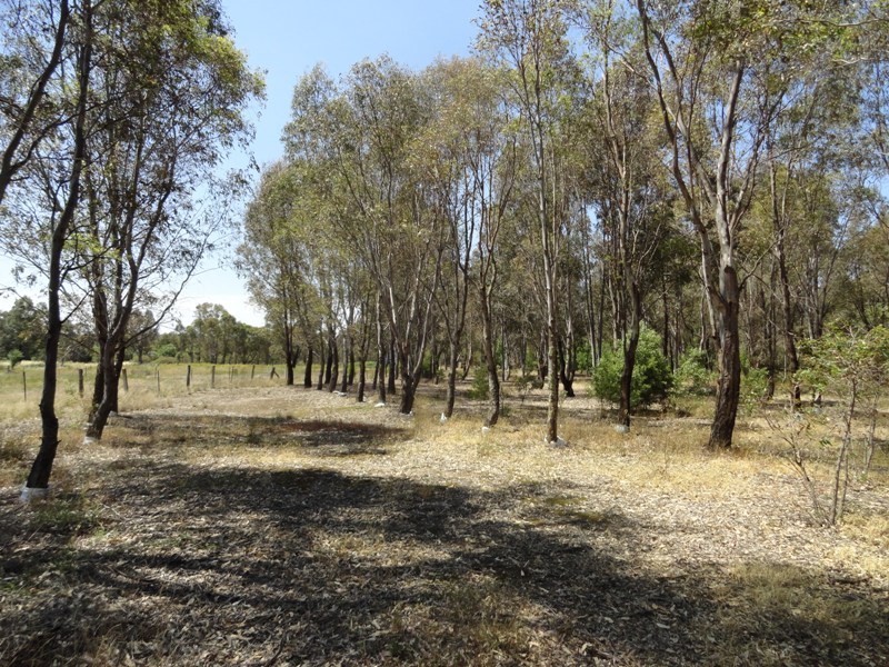 36-38 Nickless Street, Chiltern VIC 3683