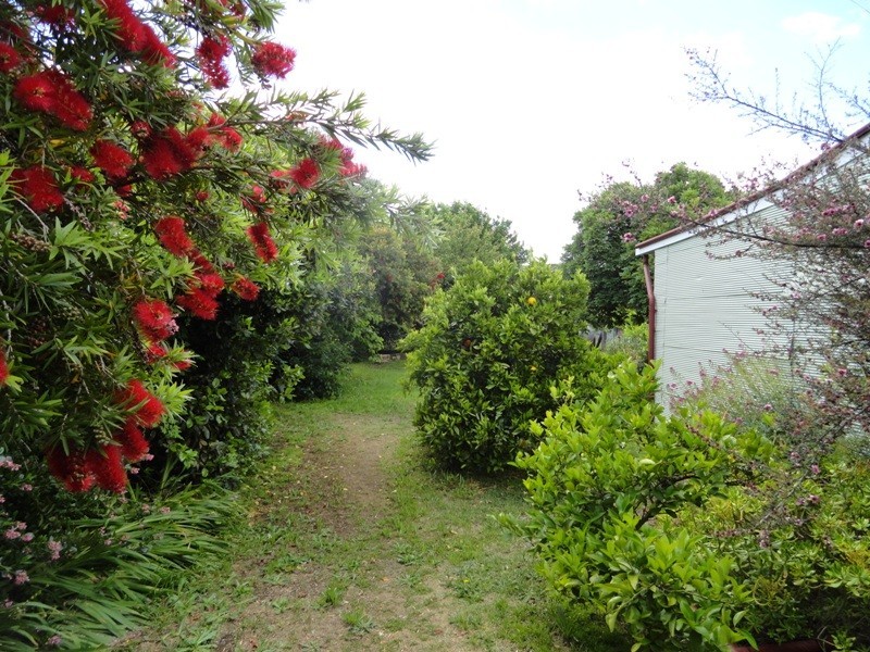 44 Commercial Street, Walla Walla NSW 2659