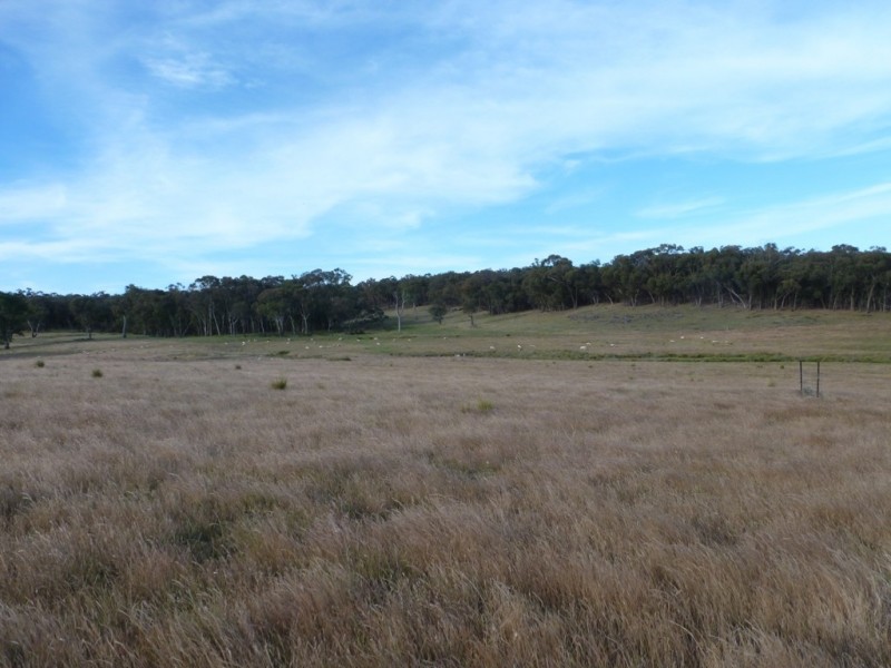 1381 Lachlan Valley Way, Boorowa NSW 2586