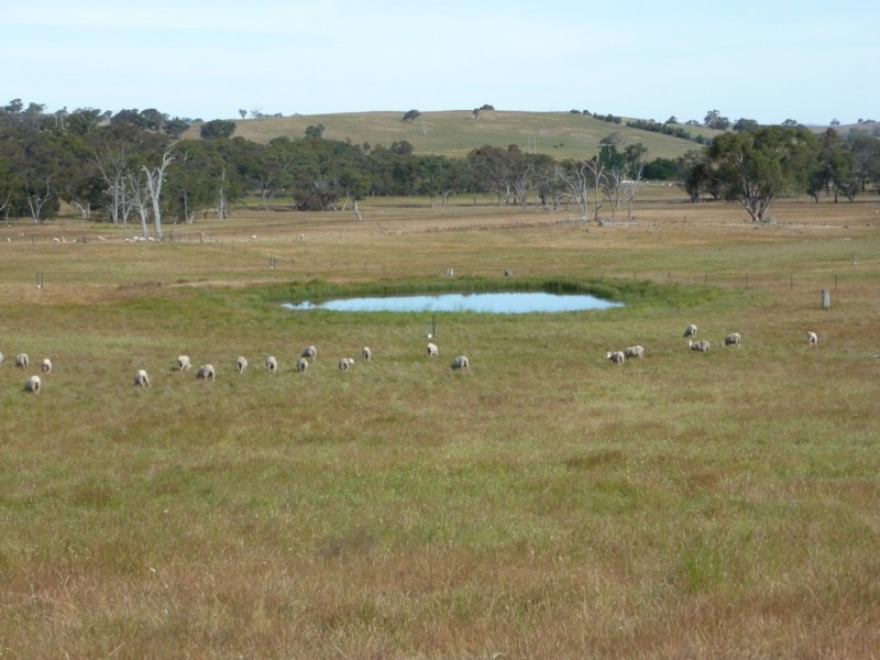 1381 Lachlan Valley Way, Boorowa NSW 2586