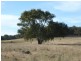 1381 Lachlan Valley Way, Boorowa NSW 2586