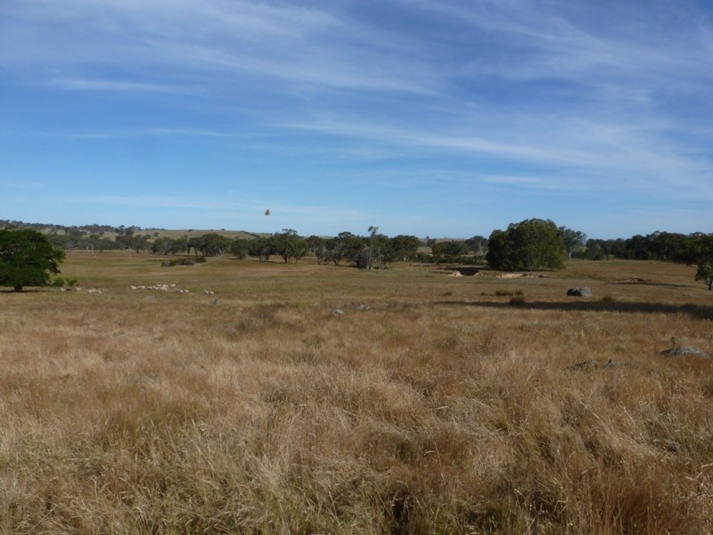 1381 Lachlan Valley Way, Boorowa NSW 2586