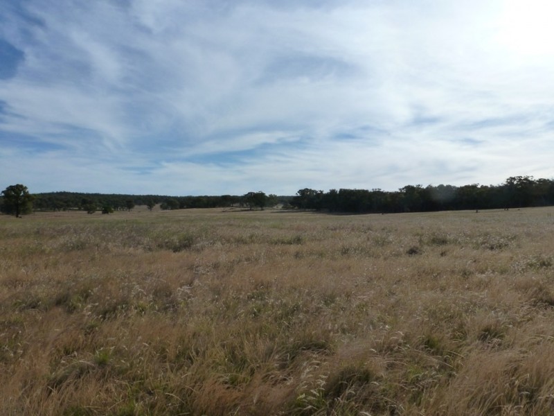 1381 Lachlan Valley Way, Boorowa NSW 2586