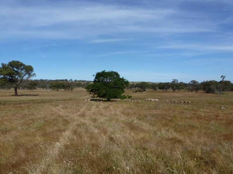 1381 Lachlan Valley Way, Boorowa NSW 2586