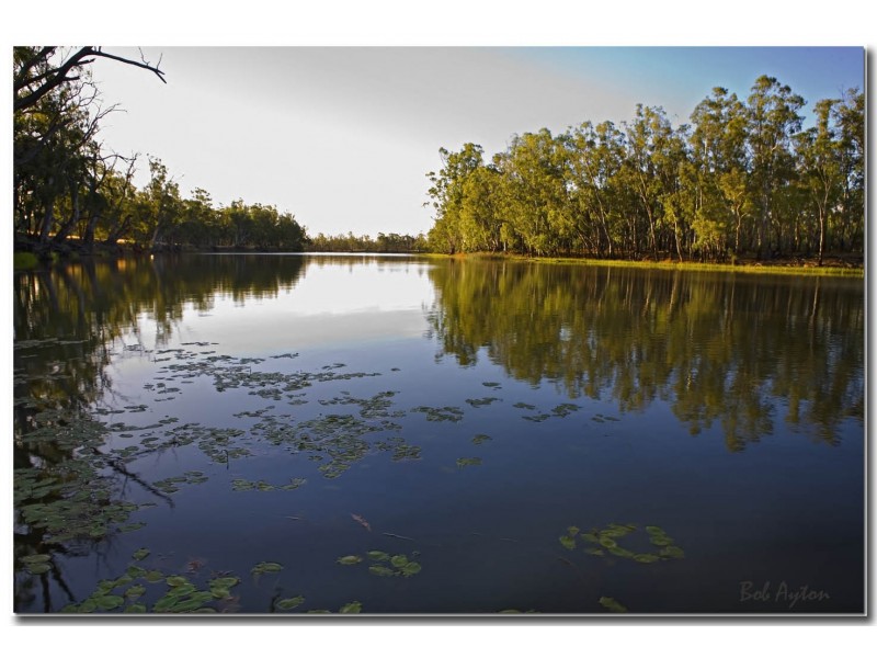 290 Calimo Rd, Deniliquin NSW 2710