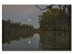290 Calimo Rd, Deniliquin NSW 2710