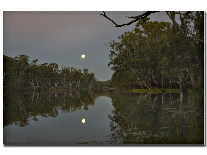290 Calimo Rd, Deniliquin NSW 2710