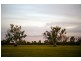290 Calimo Rd, Deniliquin NSW 2710