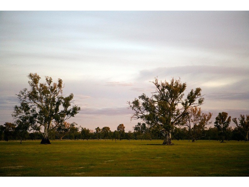 290 Calimo Rd, Deniliquin NSW 2710