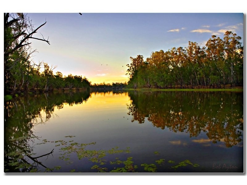 290 Calimo Rd, Deniliquin NSW 2710