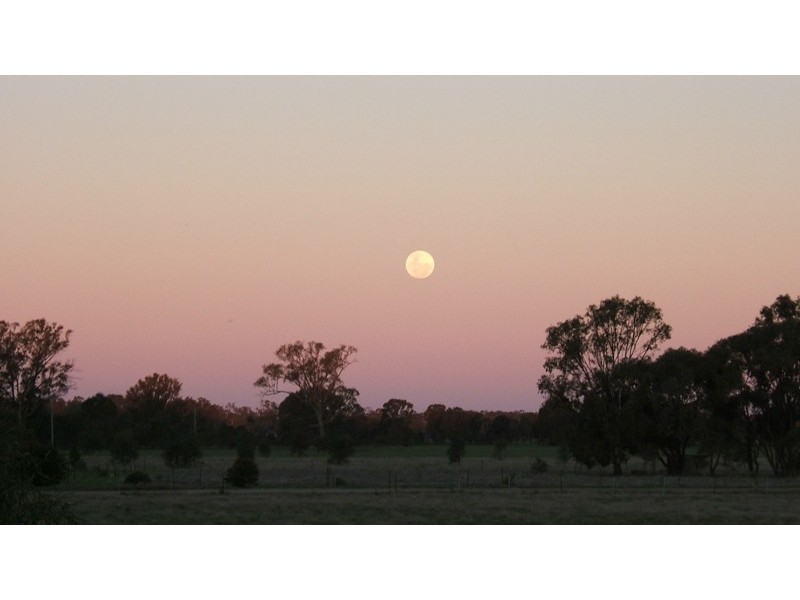 290 Calimo Rd, Deniliquin NSW 2710